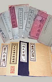 Z-Q008祁氏世譜不分卷	